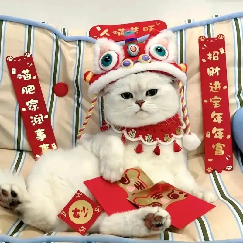 Đáng yêu không chịu nổi con mèo meme tết