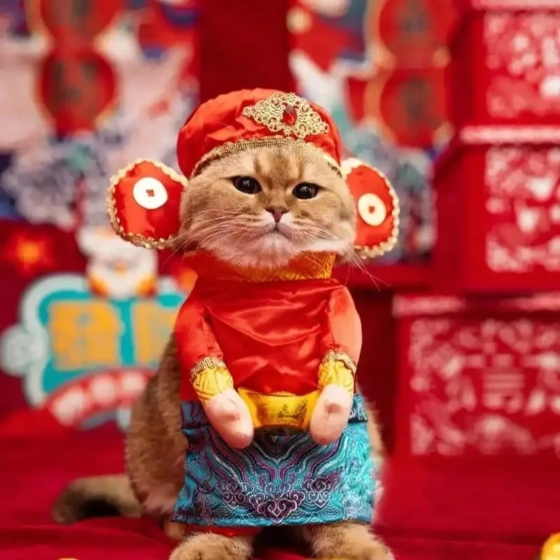 Năm mới vui vẻ với ảnh tết con mèo meme