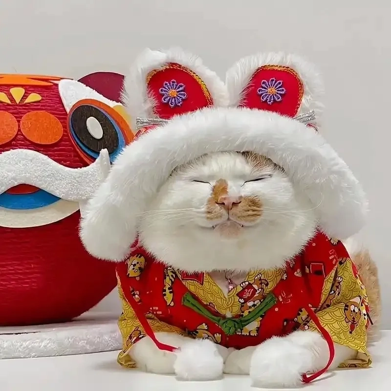 Mở năm thật vui với hình mèo tết meme