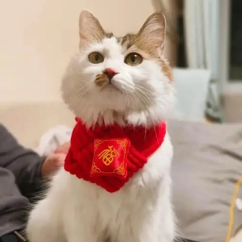 Xả stress cùng loạt meme mèo Tết hài hước cực mạnh 