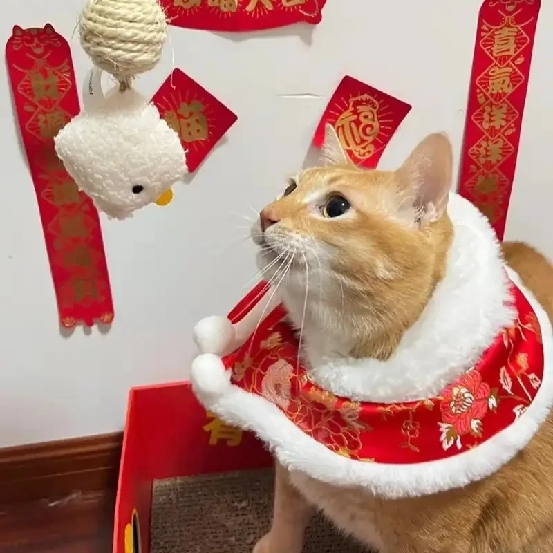 Cười đón xuân với avatar mèo đón tết meme cực bá