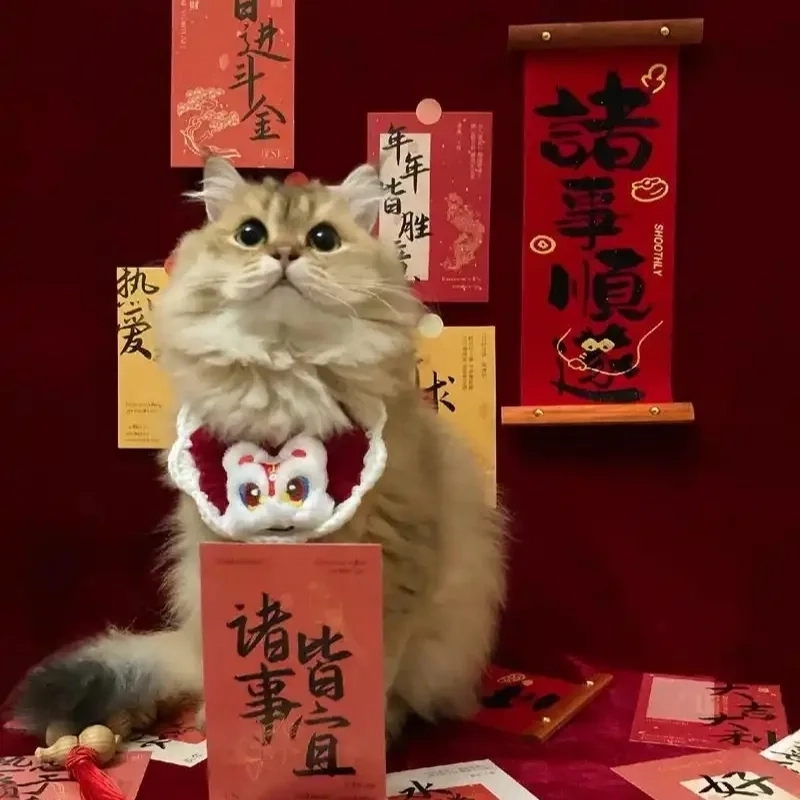 Loạt avatar mèo tết meme hài không xem là tiếc