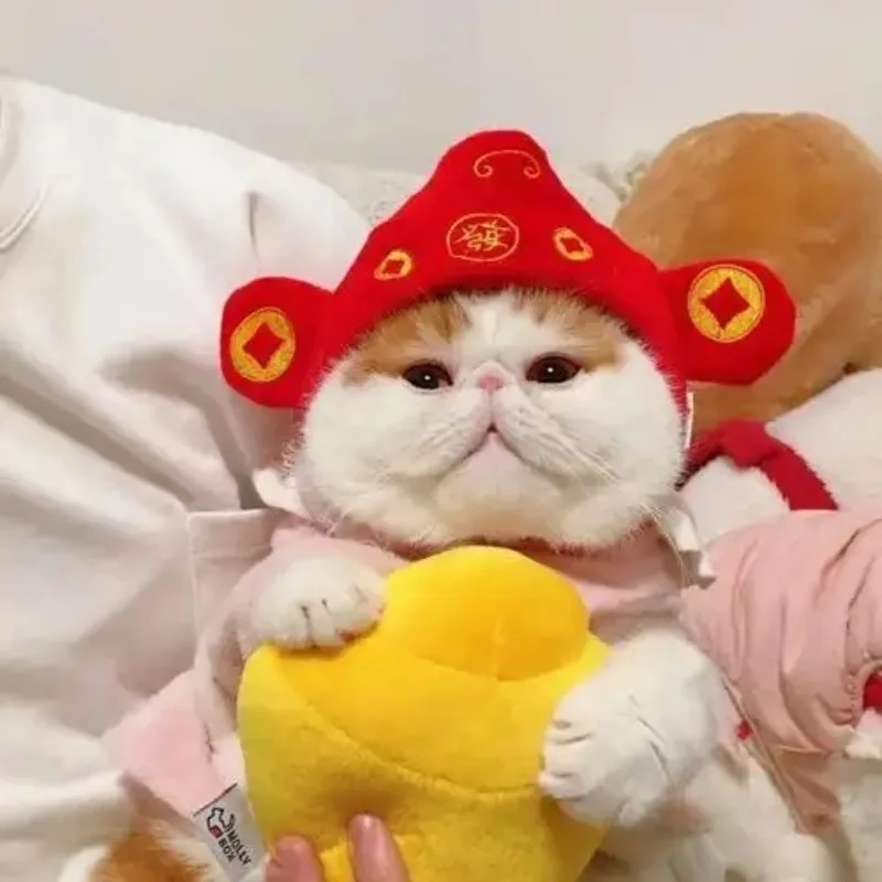 Cập nhật ảnh avatar mèo tết mới nhất cho mùa xuân