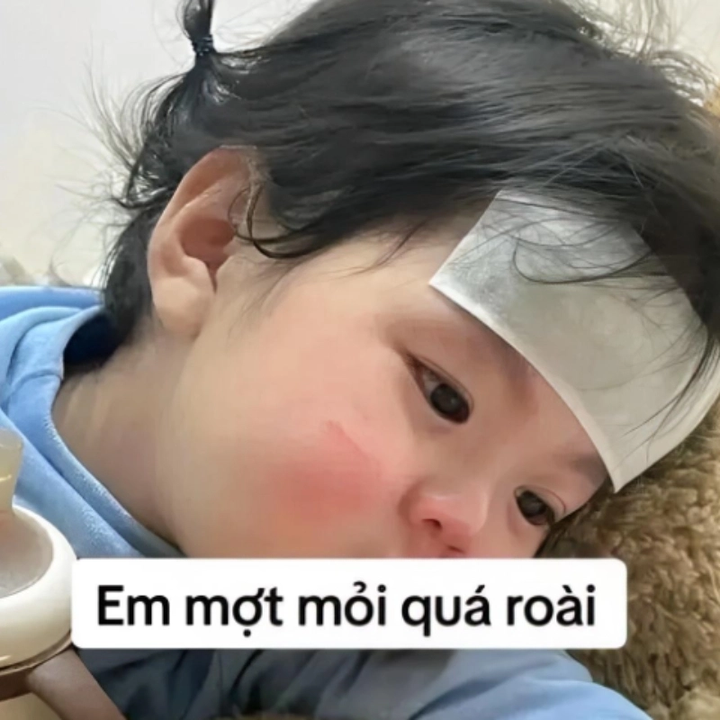Ai rồi cũng sẽ tìm đến meme mệt để giải tỏa