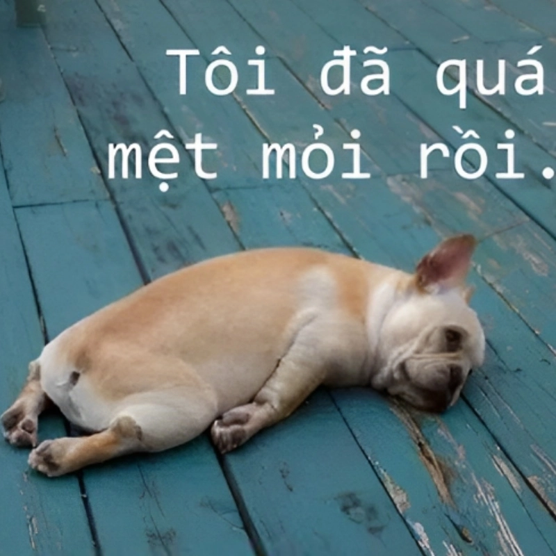 Một lần nữa gọi tên quá mệt mỏi meme trong tâm trạng hôm nay