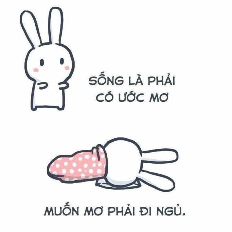 Chơi mệt rồi thì ngủ thôi thắng thua là chuyện bình thường meme