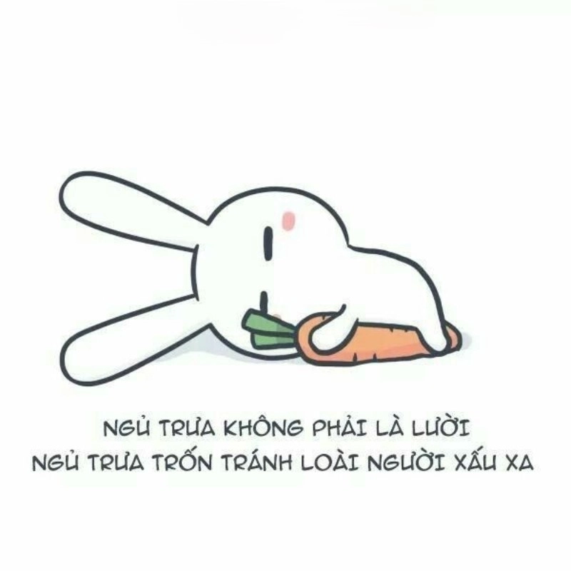 Giấc ngủ trưa meme khiến bạn nạp lại cả năng lượng sống