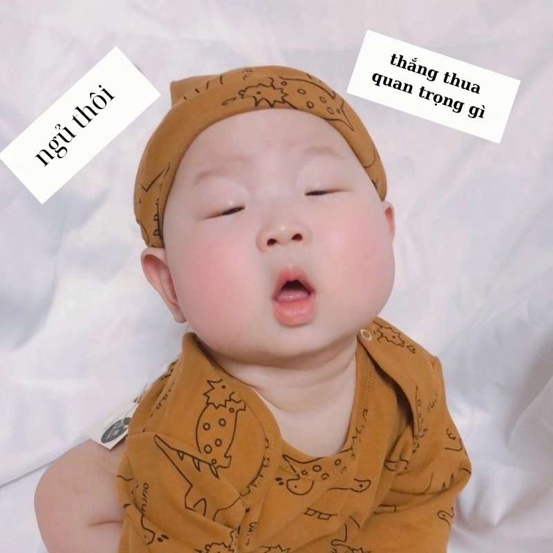 Mắt díp lại rồi với loạt hình ảnh buồn ngủ hài hước