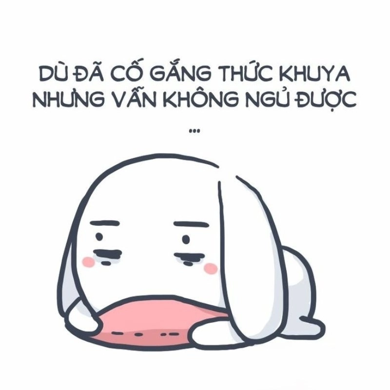 Khi ảnh mèo ngộ nghĩnh trong giấc ngủ đáng yêu hơn cả bạn