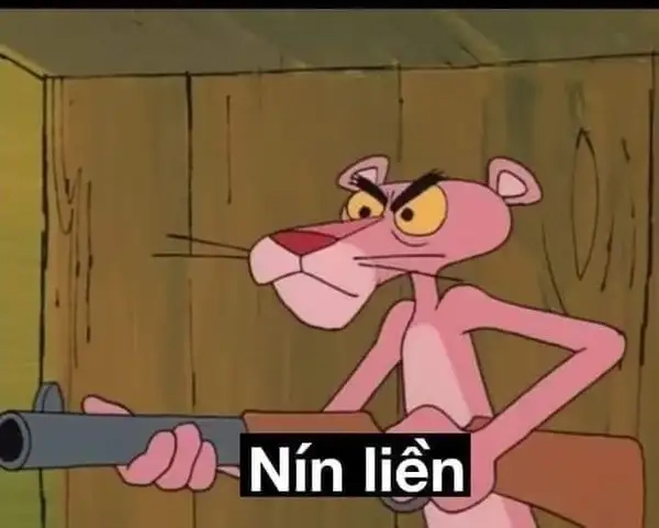 Đang chửi mà bị meme nín đi tạt nước lạnh