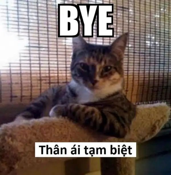 Lời cáo biệt bá đạo nhất mạng là cáo từ meme