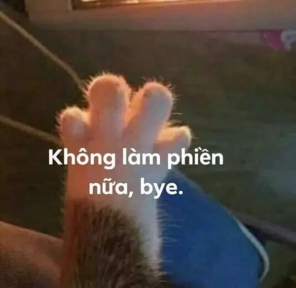 Nhắn gửi yêu thương với bộ ảnh tạm biệt cực chất