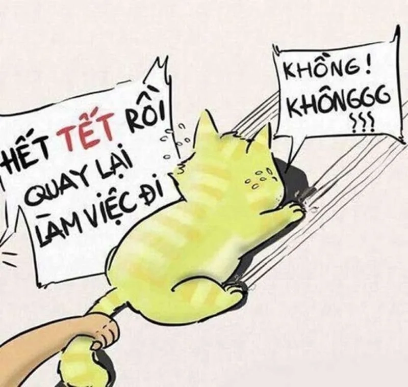 Đổi mới avatar với avatar mèo meme tết siêu dễ thương