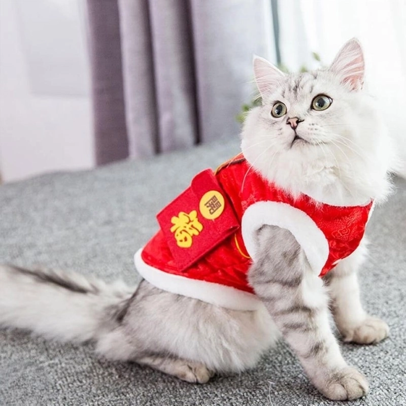Cười thả ga cùng cat meme tết siêu hài hước