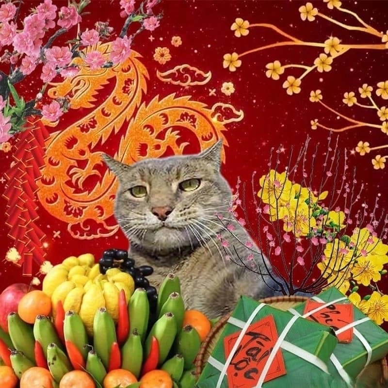 Ăn Tết vui vẻ cùng meme ăn tết hài hước