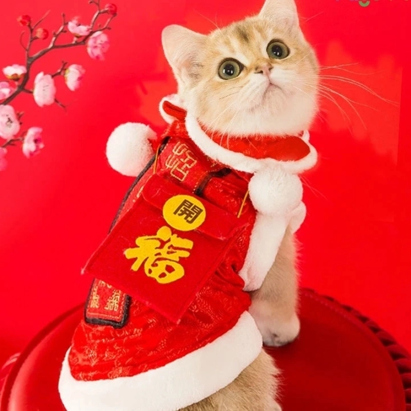 Tết trọn vẹn hơn với bộ sưu tập tết meme đặc sắc