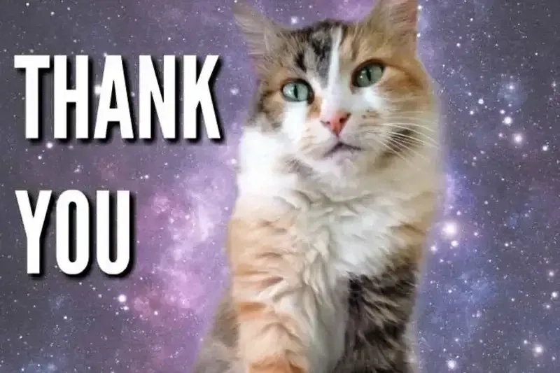 Chốt màn cực tình cảm với thank you for watching meme