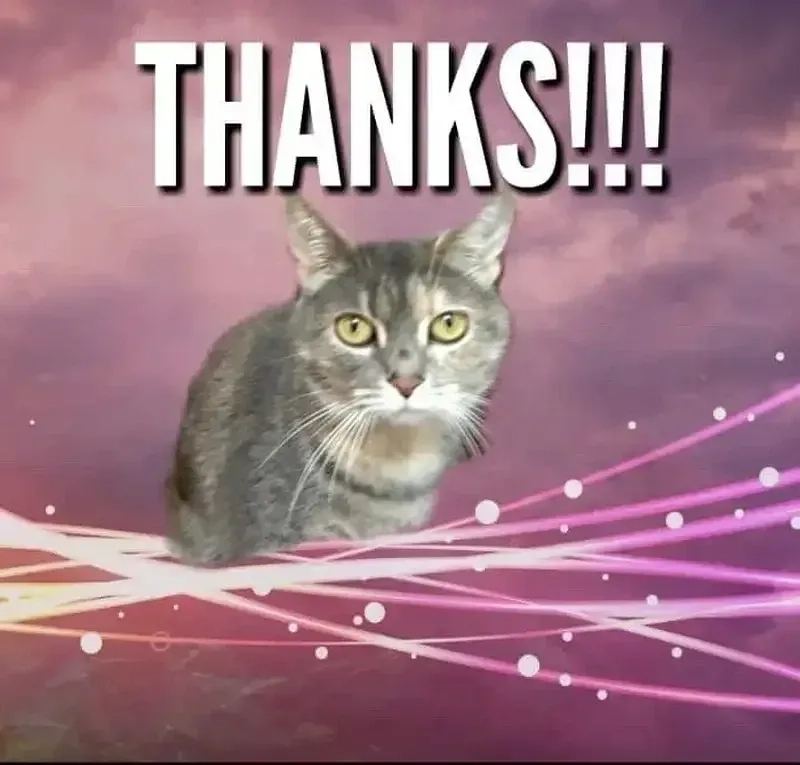 Một cú tát ngọt ngào từ thank you for your opinion meme