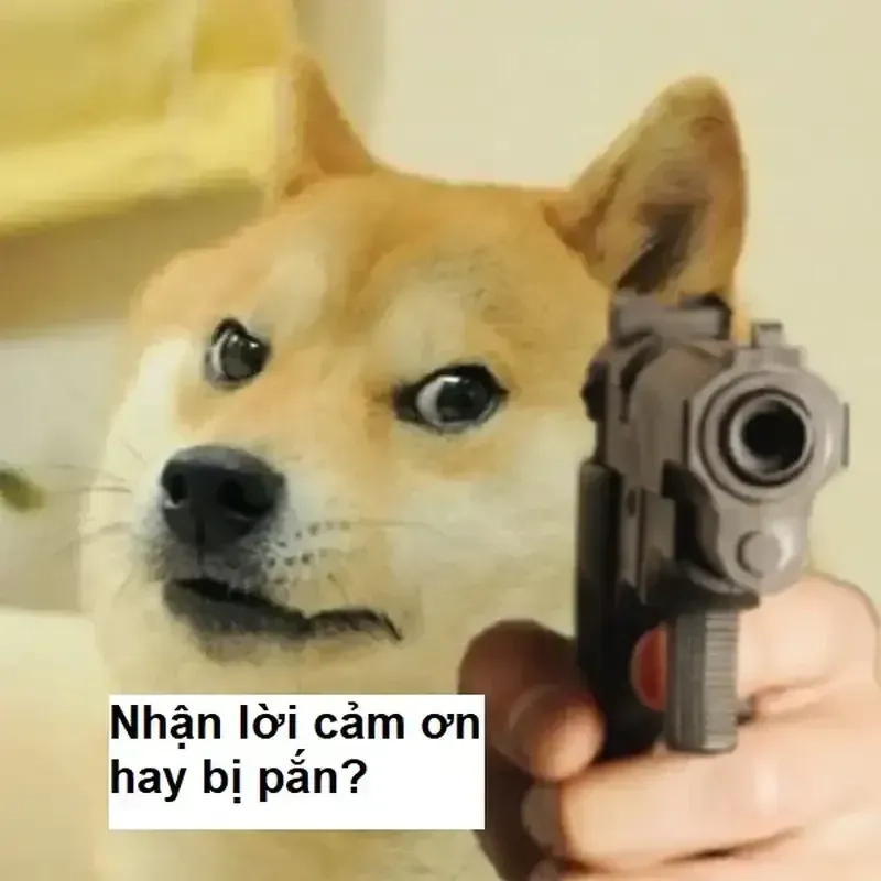 Gửi lời yêu thương qua ảnh meme thank you siêu ngọt