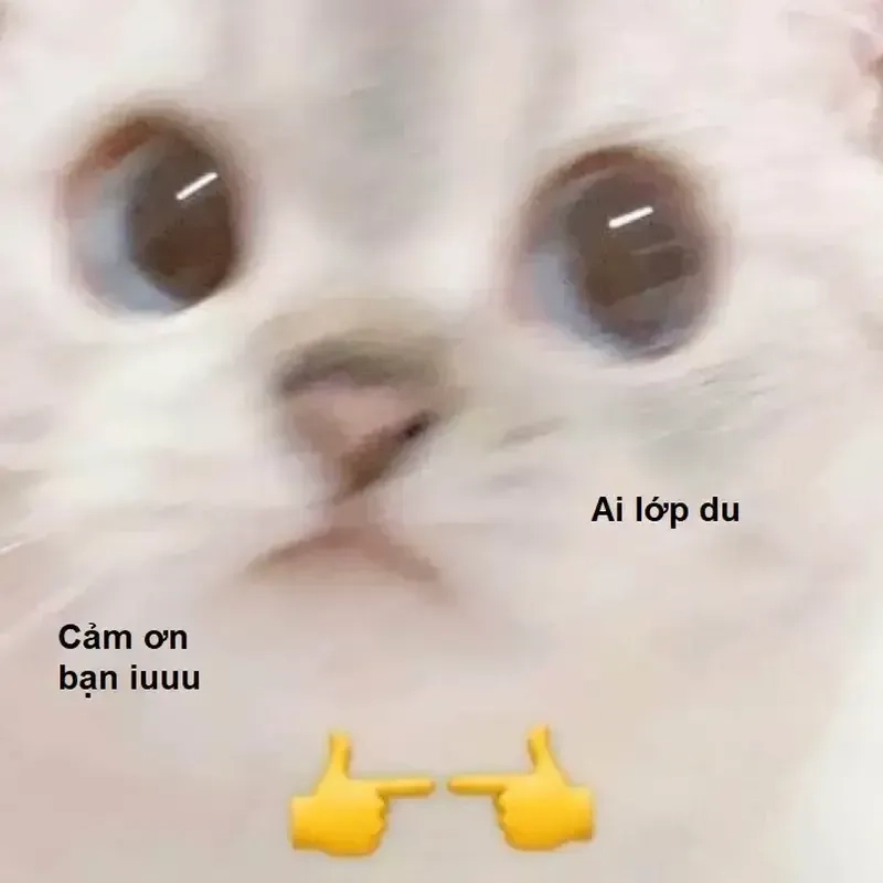 Trân trọng từng giây phút cùng meme thank you so much