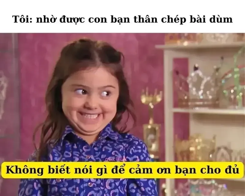 Gói trọn tình cảm qua thank you meme cảm ơn cực chuẩn