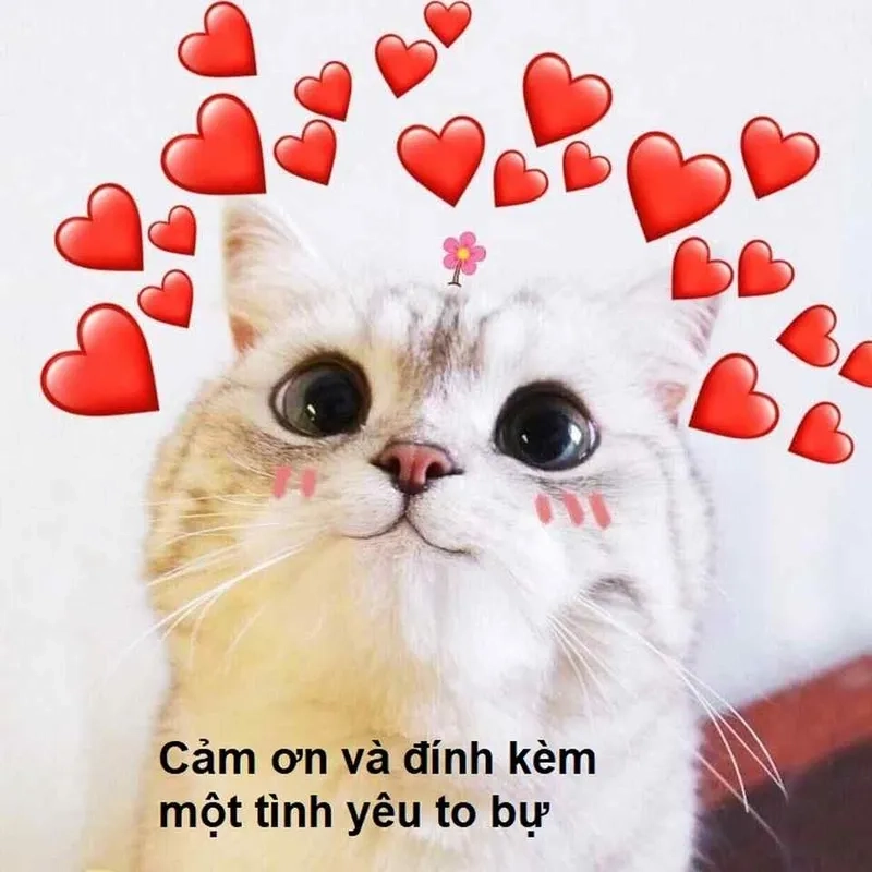 Kết thúc podcast siêu mượt với thank you for listening meme gif