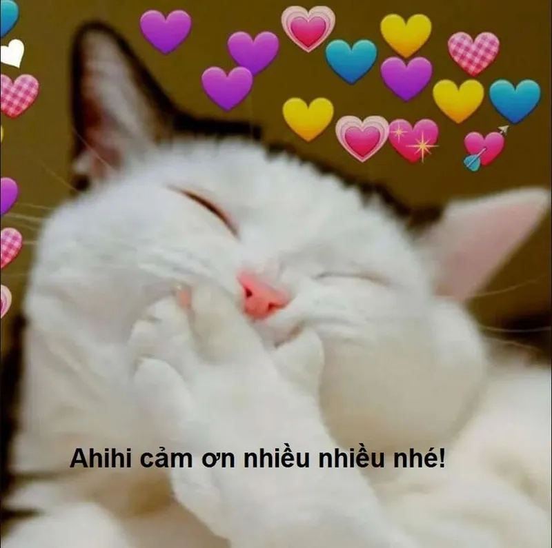 Cảm ơn kiểu hoạt hình với thank you gif meme