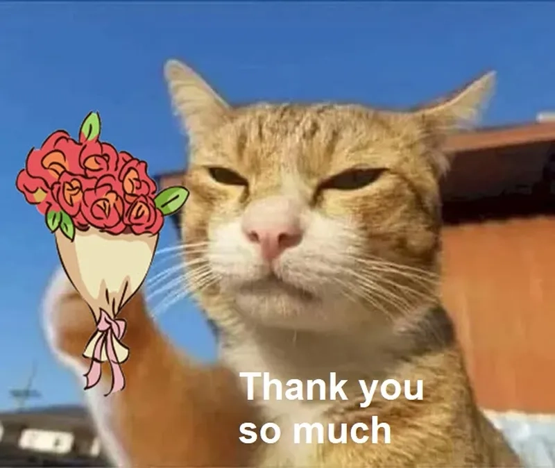 Cùng hô to với everyone say thank you meme