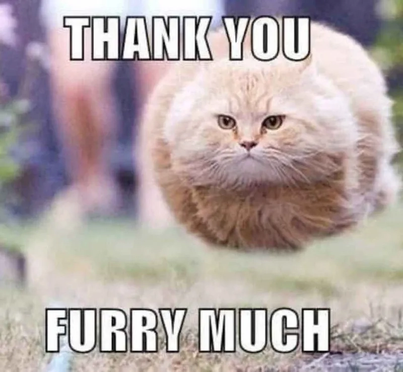 Học tiếng Tây Ban Nha cùng how to say thank you in spanish meme