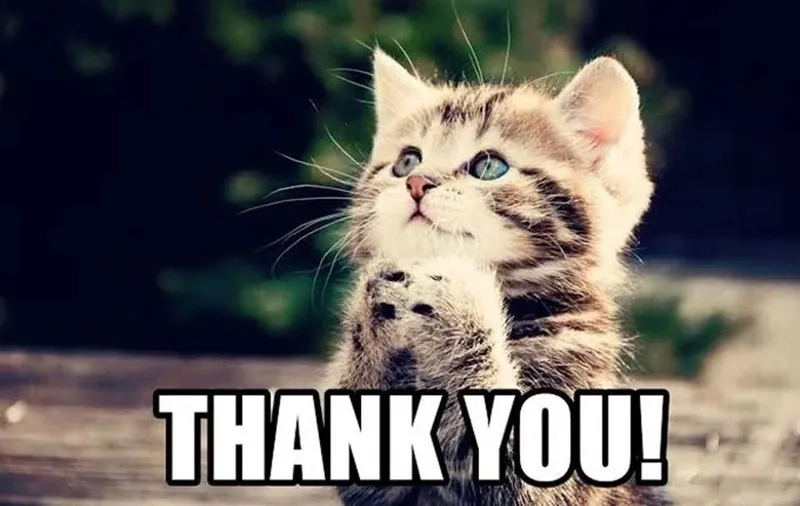 Đầy cảm xúc anh hùng với i never said thank you batman meme