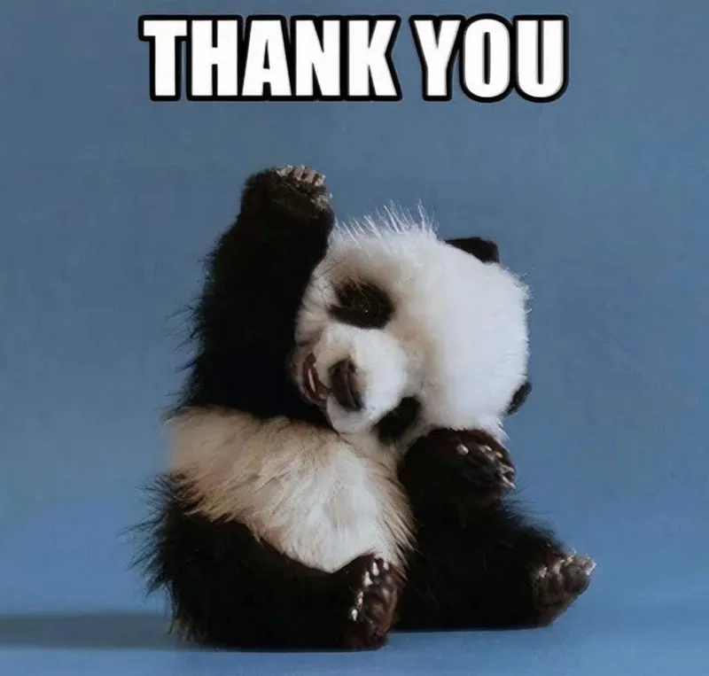 Lặng lẽ và ngầu lòi trong i never said thank you meme