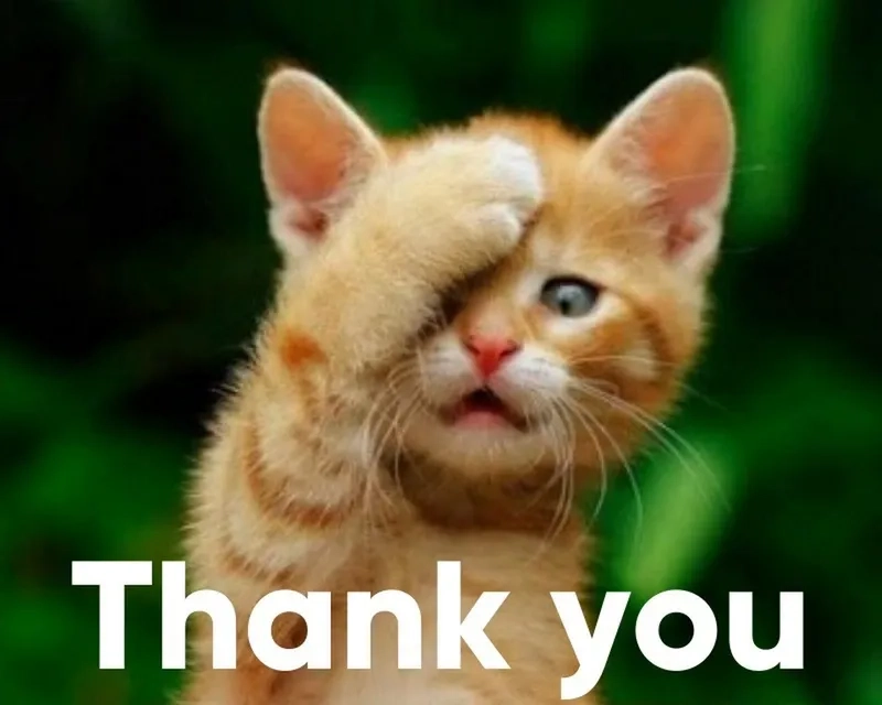 Không nói lời cảm ơn cực toxic trong no thank you meme funny