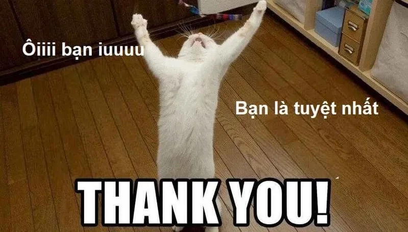 Biển cả và cảm ơn gặp nhau trong spongebob meme thank you