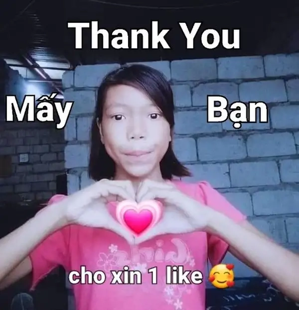  Tải ngay ảnh meme thank you độc lạ gây sốt cộng đồng mạng 
