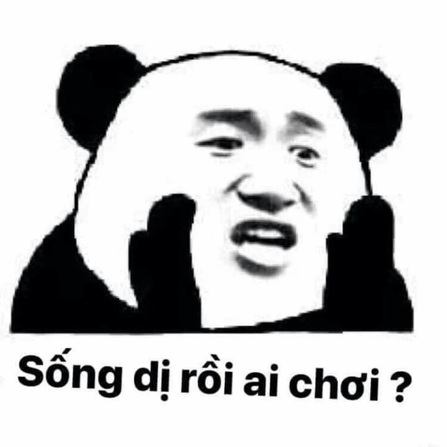 Gấu trúc cũng biết meme gấu trúc từ chối cực dễ thương