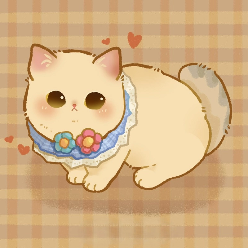 Bộ sưu tập ảnh mèo chibi cute đẹp nhất hiện nay