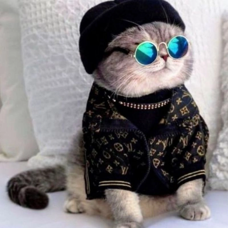 Xem ngay bộ hình ảnh chibi mèo hot nhất hiện nay