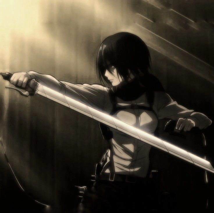 Mikasa chiến binh mạnh mẽ trung thành tuyệt đối