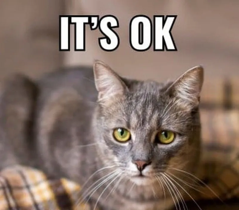 Khi mọi chuyện ổn thì chỉ cần nhẹ ok meme thôi