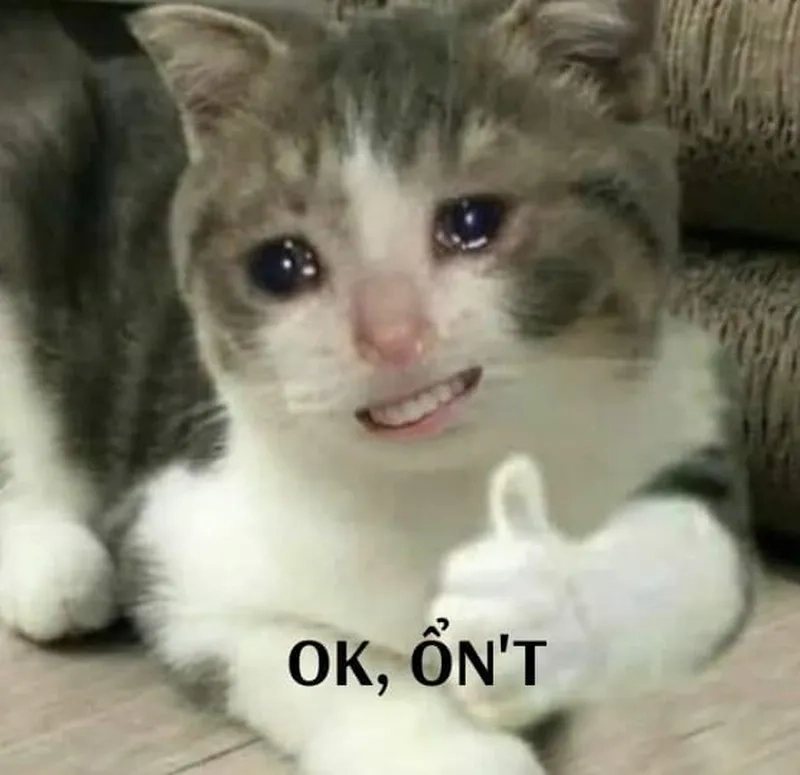 Phản ứng nhẹ nhàng kiểu meme oki cho ngày bình yên