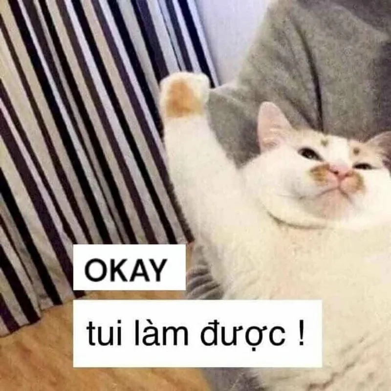 Dù tổn thương nhưng vẫn mạnh mẽ như im ok meme