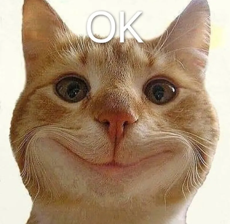 Cười nghiêng ngả với meme ok bấy bì độc lạ