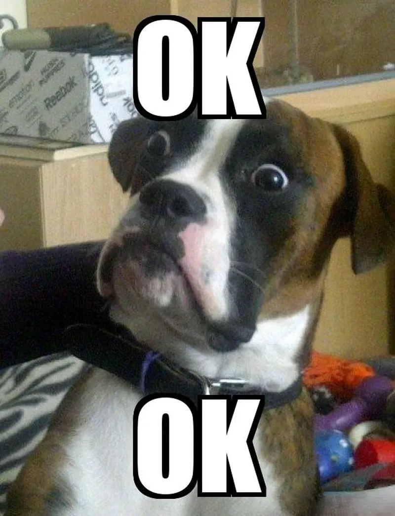 “Ờ thì” nhẹ nhàng với chiếc um ok meme