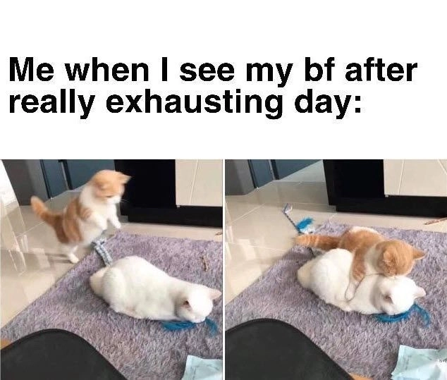 Thả tim ngay với meme ôm cute siêu yêu
