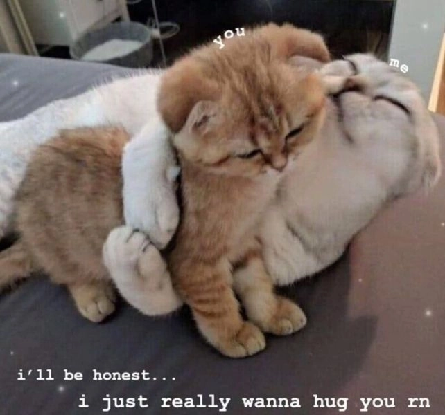 Đừng ngần ngại nói “ôm em” bằng meme ôm em