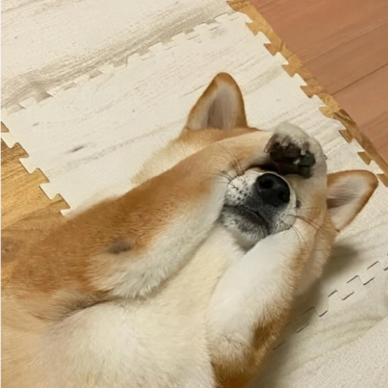 Khi bất ngờ đến cùng ôm đầu meme