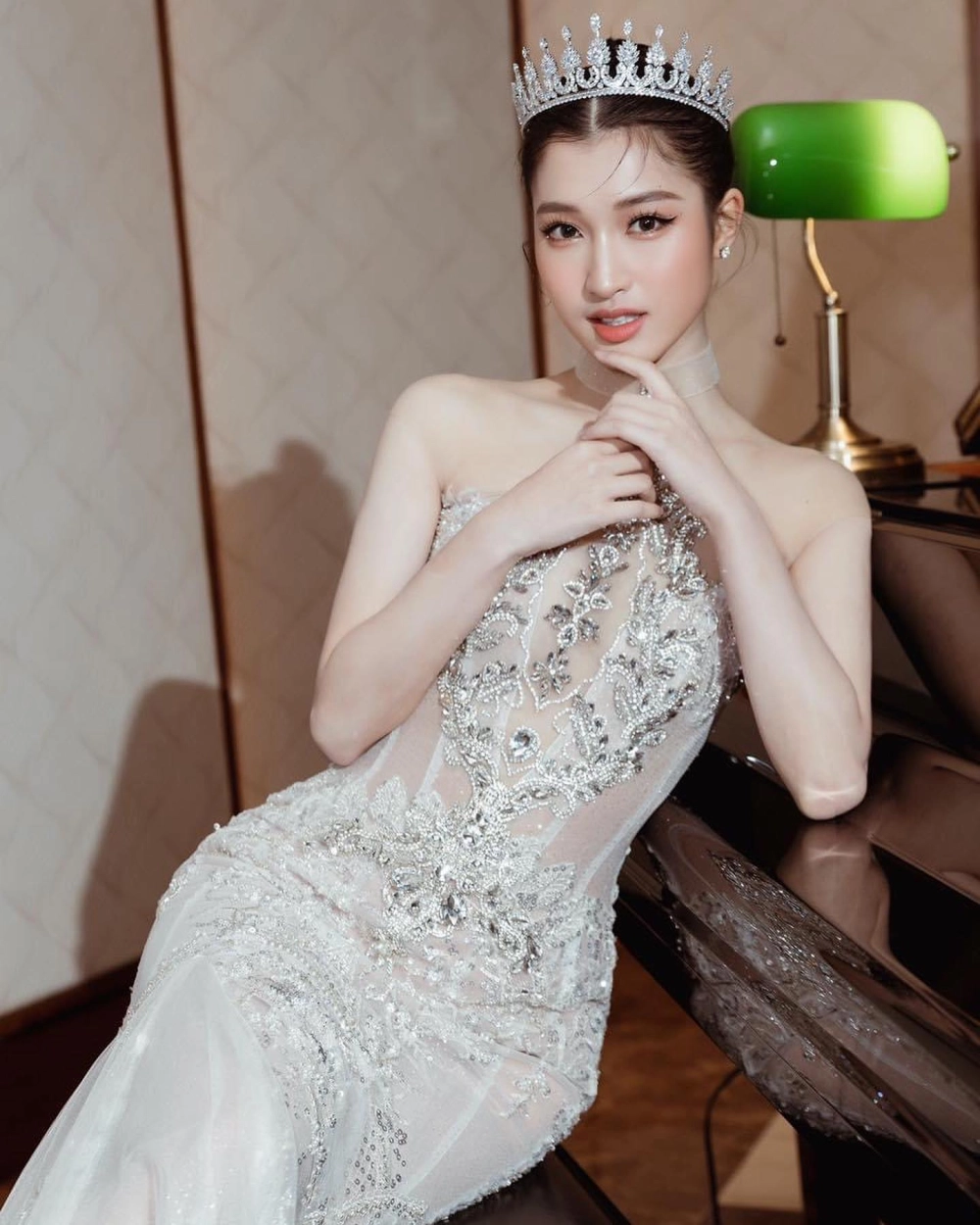 Thế giới gai xinh tik lung linh và đầy năng lượng