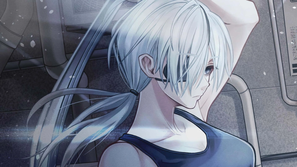 Quanxi height chiều cao vượt trội gây ấn tượng mạnh