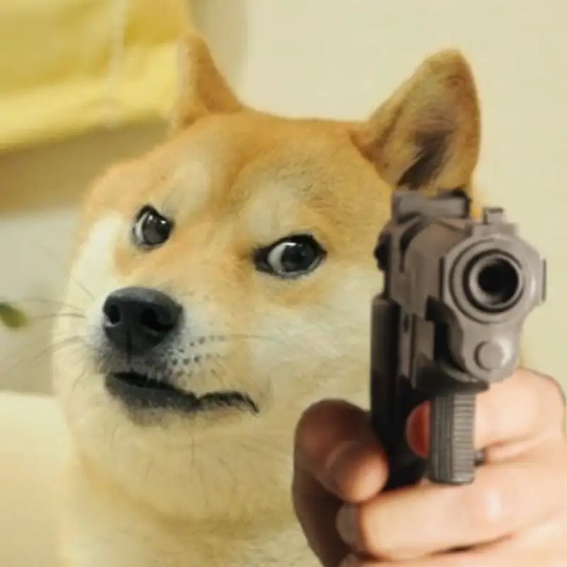 Xem ngay những biểu cảm siêu cute của shiba cheems meme vietnam