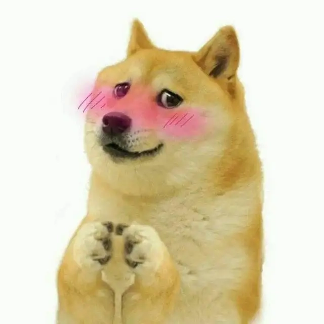 Khám phá meme viral với doge shiba inu dog meme bá đạo nhất